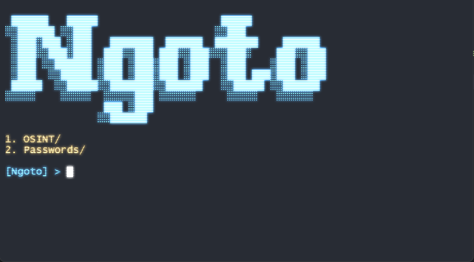 Ngoto: A Plugin-Based Framework for Automating Pentesting Scripts